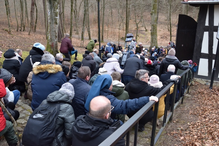 Wielkopostna Droga Krzyżowa w Wejherowie
