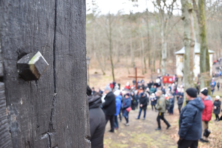 Wielkopostna Droga Krzyżowa w Wejherowie