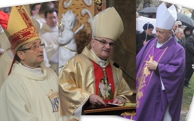 Biskupi pomocniczy diecezji legnickiej