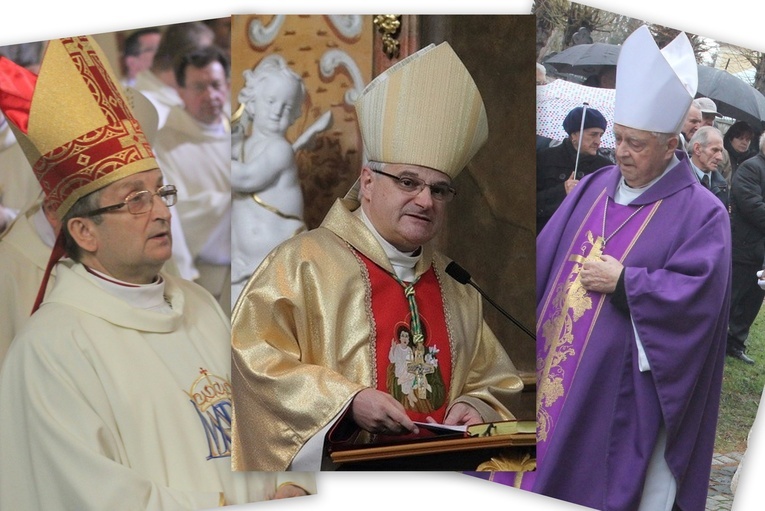 Biskupi pomocniczy diecezji legnickiej