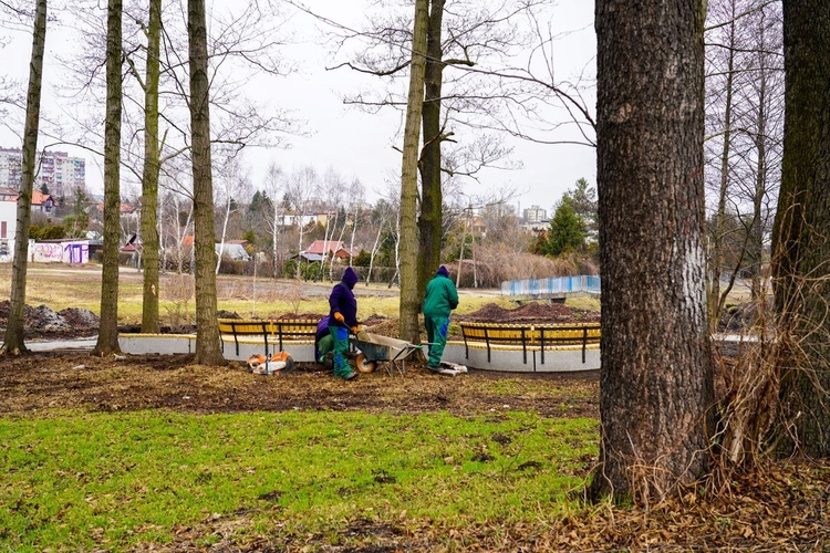 Rybnik. Powstaje nowy park