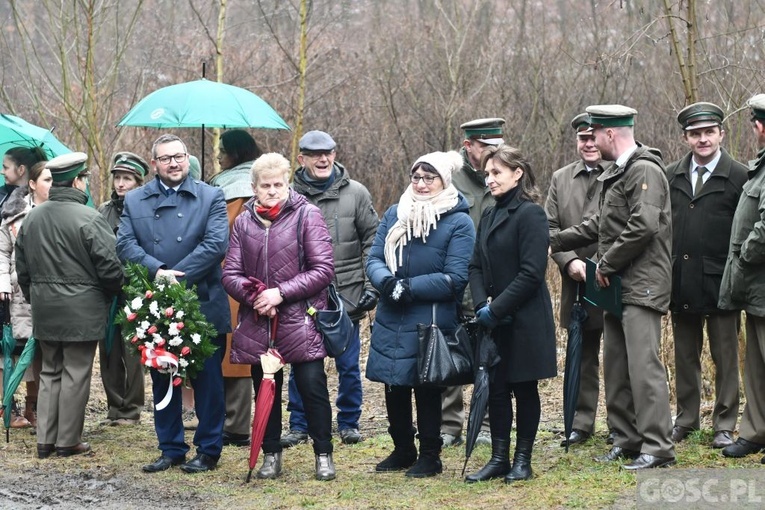 Jenin. Poświęcenie leśnej drogi krzyżowej