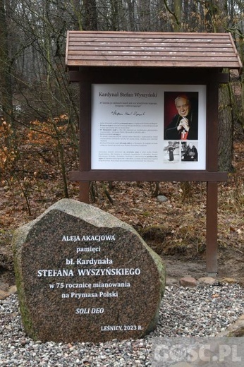 Jenin. Poświęcenie leśnej drogi krzyżowej