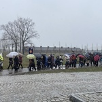 Droga Krzyżowa w intencji trzeźwości narodu w byłym KL Auschwitz-Birkenau - 2023