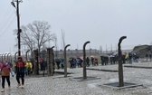 Droga Krzyżowa w intencji trzeźwości narodu w byłym KL Auschwitz-Birkenau - 2023