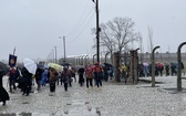 Droga Krzyżowa w intencji trzeźwości narodu w byłym KL Auschwitz-Birkenau - 2023