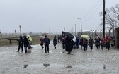 Droga Krzyżowa w intencji trzeźwości narodu w byłym KL Auschwitz-Birkenau - 2023