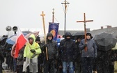 Droga Krzyżowa w intencji trzeźwości narodu w byłym KL Auschwitz-Birkenau - 2023