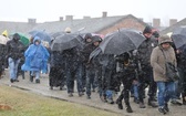 Droga Krzyżowa w intencji trzeźwości narodu w byłym KL Auschwitz-Birkenau - 2023
