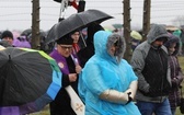 Droga Krzyżowa w intencji trzeźwości narodu w byłym KL Auschwitz-Birkenau - 2023