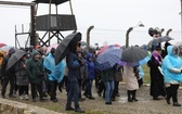 Droga Krzyżowa w intencji trzeźwości narodu w byłym KL Auschwitz-Birkenau - 2023