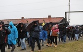Droga Krzyżowa w intencji trzeźwości narodu w byłym KL Auschwitz-Birkenau - 2023
