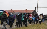 Droga Krzyżowa w intencji trzeźwości narodu w byłym KL Auschwitz-Birkenau - 2023