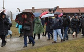 Droga Krzyżowa w intencji trzeźwości narodu w byłym KL Auschwitz-Birkenau - 2023