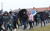 Droga Krzyżowa w intencji trzeźwości narodu w byłym KL Auschwitz-Birkenau - 2023
