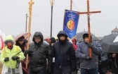 Droga Krzyżowa w intencji trzeźwości narodu w byłym KL Auschwitz-Birkenau - 2023
