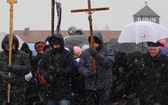 Droga Krzyżowa w intencji trzeźwości narodu w byłym KL Auschwitz-Birkenau - 2023