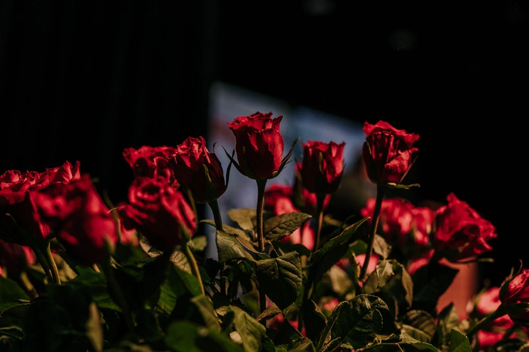 X DDK - rozpoczęcie spotkania