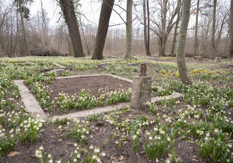 Porządkowanie cmentarza w Koziej Górze