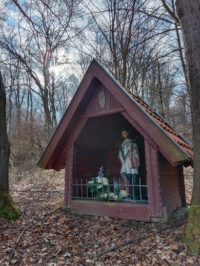 Wystarczy tylko otworzyć oczy