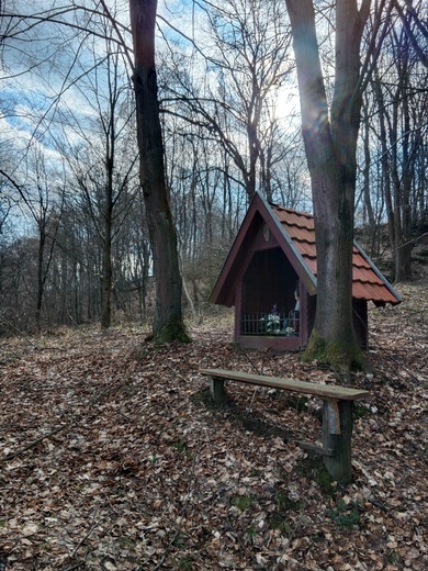 Wystarczy tylko otworzyć oczy