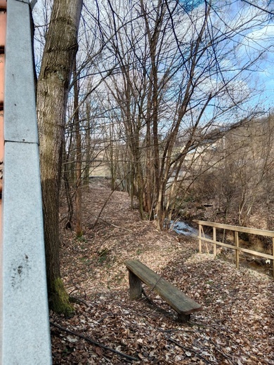 Wystarczy tylko otworzyć oczy