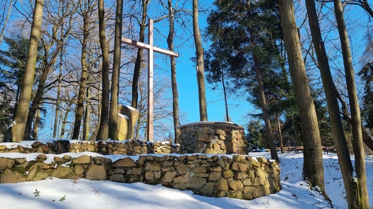 Wśród leśnej ciszy - Ave Maryja