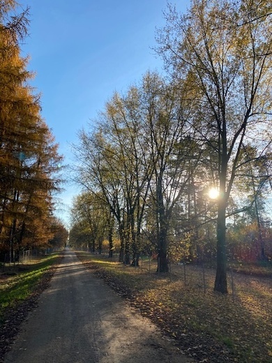 Pustkowski kalejdoskop