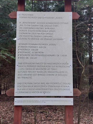 Matka Boska Leśna