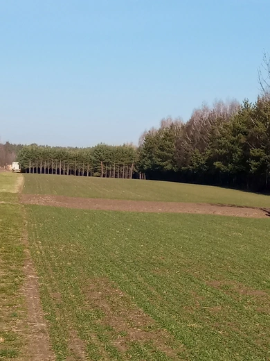 Moja codzienna droga do świętości