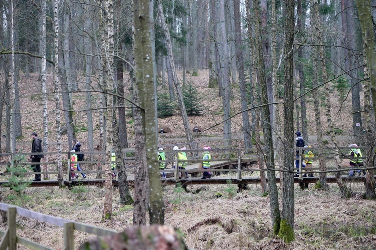 Kudypy. Międzynarodowy Dzień Lasów