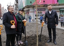 Katowice. Drzewa zamiast betonu przy ul. Stawowej