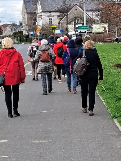 Caminowa pielgrzymka do Małujowic