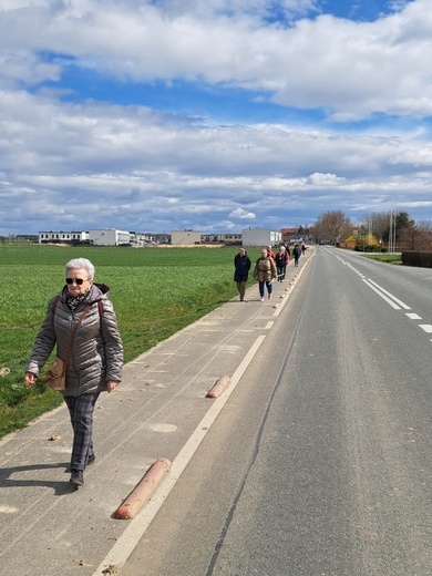 Caminowa pielgrzymka do Małujowic