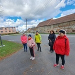 Caminowa pielgrzymka do Małujowic