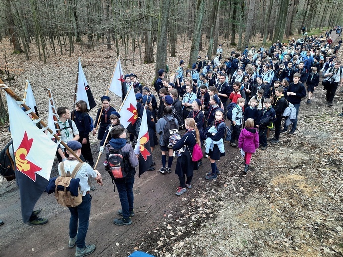 Skauci Europy w Zwonowicach i Rudach