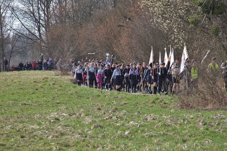 Skauci Europy w Zwonowicach i Rudach