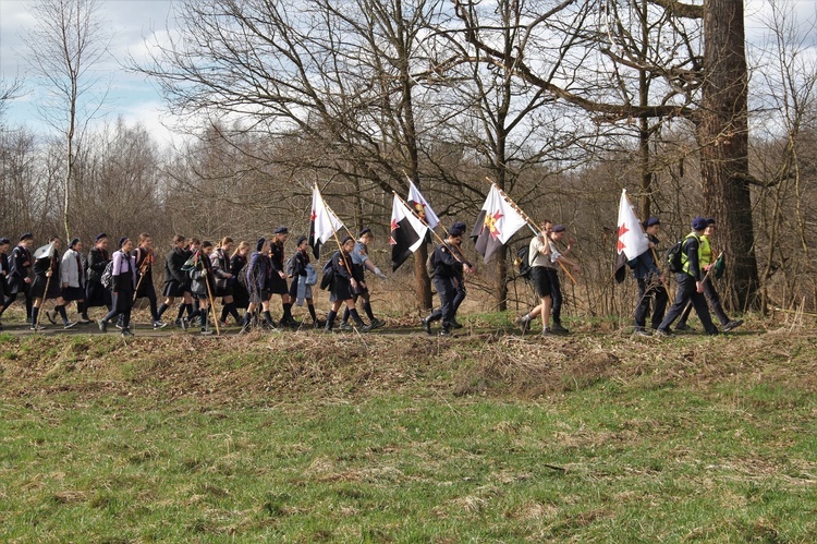 Skauci Europy w Zwonowicach i Rudach