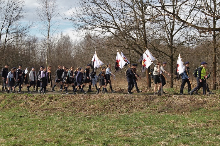 Skauci Europy w Zwonowicach i Rudach