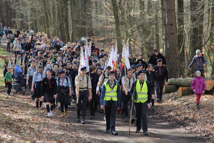 Skauci Europy w Zwonowicach i Rudach