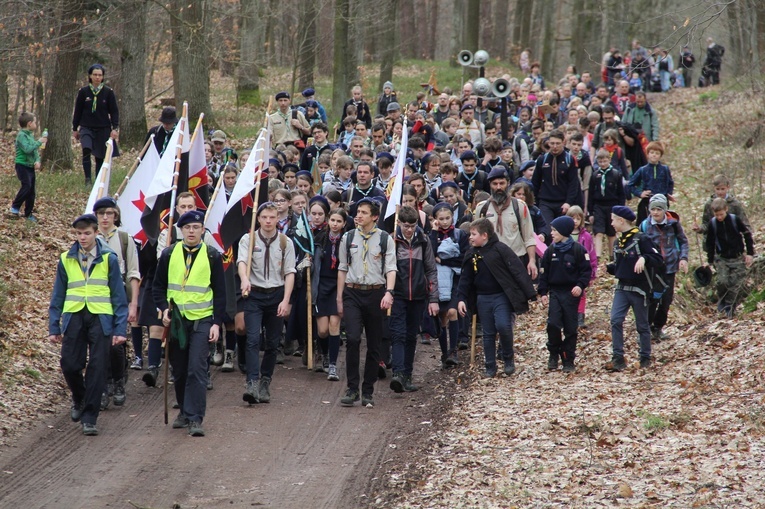 Skauci Europy w Zwonowicach i Rudach