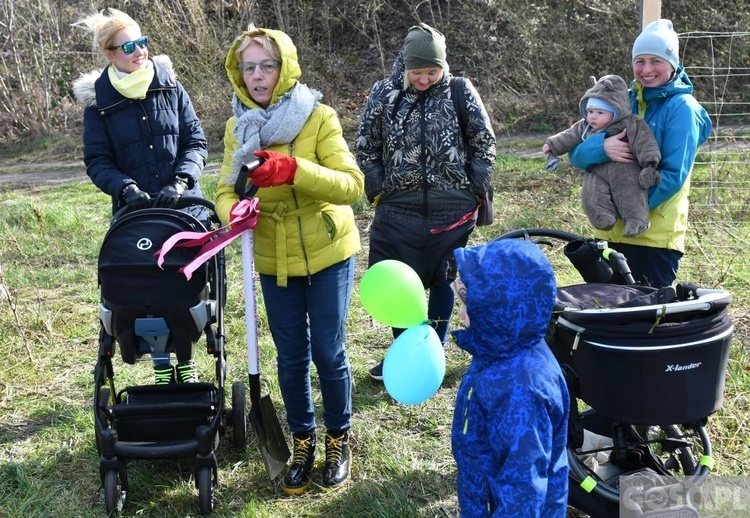 Zielona Góra. Budowa domu Fundacji Centrum Rodziny rozpoczęta