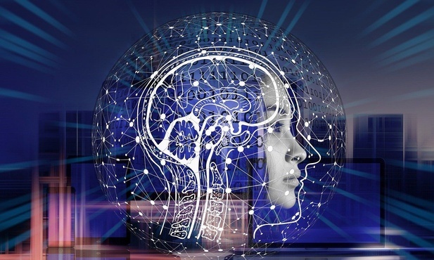 Inteligencja