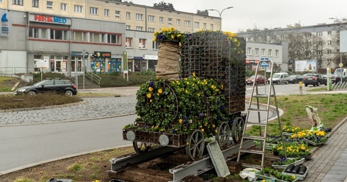 Katowice. Trwają nasadzenia kwiatów na ulicach