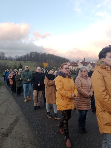 Ścinawka Dolna. Uliczna Droga Krzyżowa w czasie misji