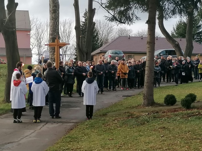 Ścinawka Dolna. Uliczna Droga Krzyżowa w czasie misji