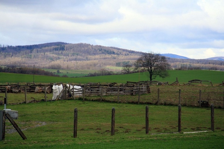 XVI Marsz Pamięci Jana Pawła II na ziemi głubczyckiej