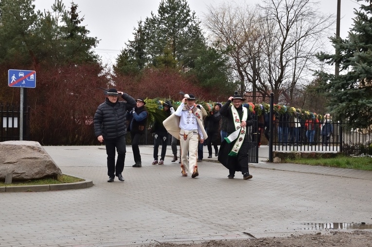 Jak górale w Gdańsku palmę postawili
