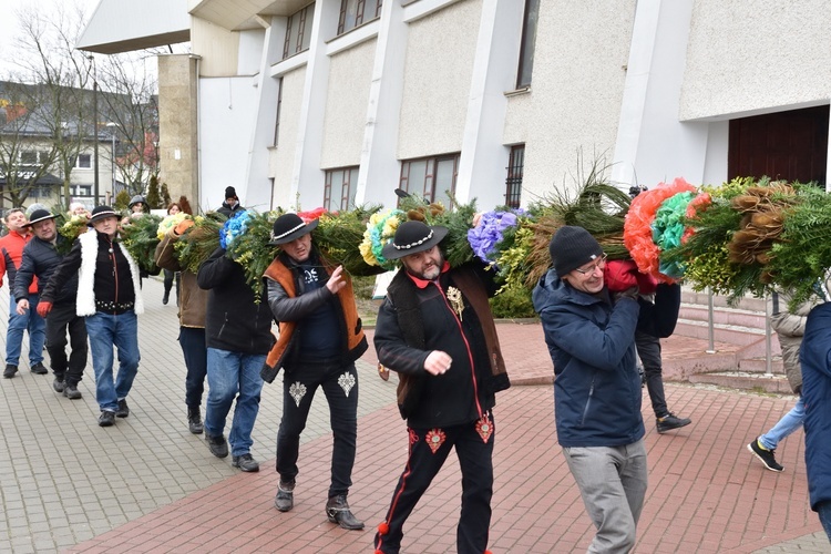 Jak górale w Gdańsku palmę postawili