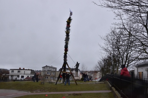 Jak górale w Gdańsku palmę postawili